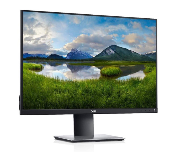 Dell P2421 - 564935 - zdjęcie 2